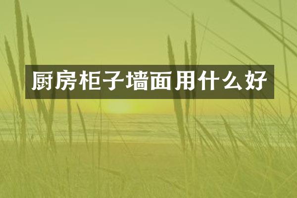 厨房柜子墙面用什么好
