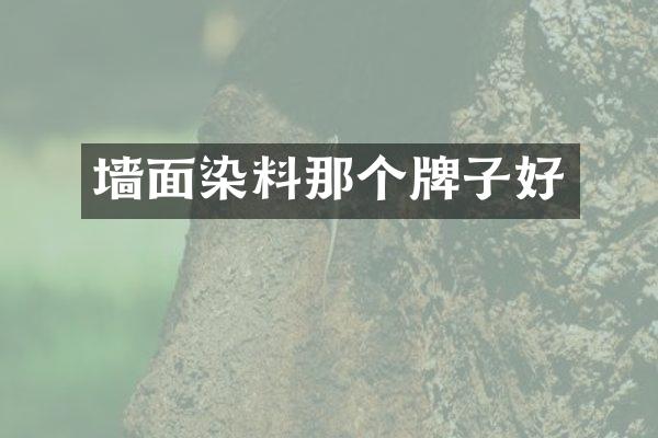 墙面染料那个牌子好