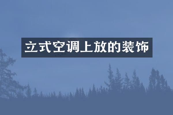 立式空调上放的装饰