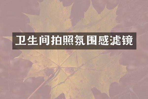 卫生间拍照氛围感滤镜