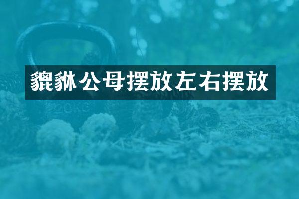 貔貅公母摆放左右摆放