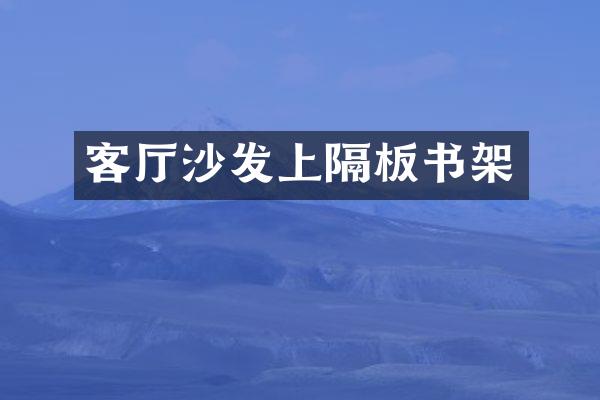 客厅沙发上隔板书架