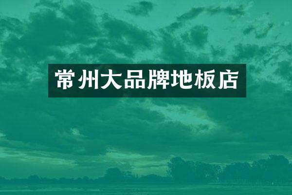 常州大品牌地板店