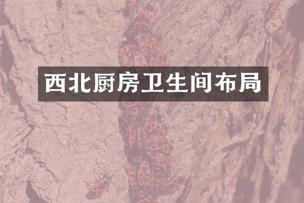 西北厨房卫生间布局