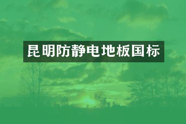 昆明防静电地板国标