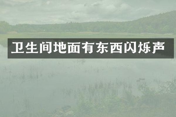 卫生间地面有东西闪烁声