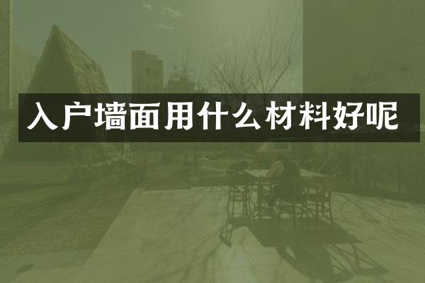 入户墙面用什么材料好呢