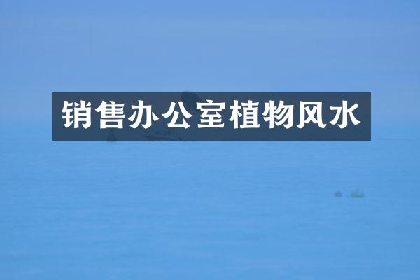 销售办公室植物风水