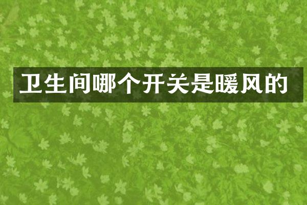 卫生间哪个开关是暖风的