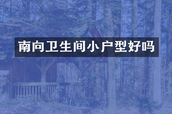 南向卫生间小户型好吗
