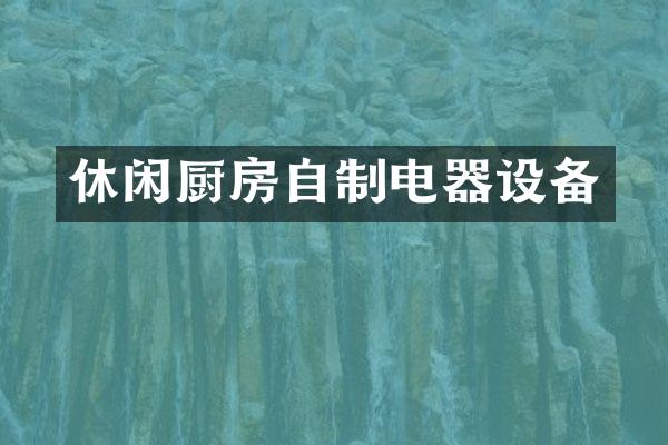休闲厨房自制电器设备