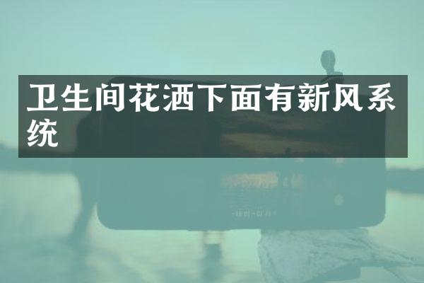 卫生间花洒下面有新风系统