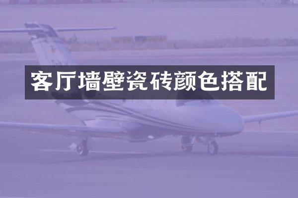 客厅墙壁瓷砖颜色搭配
