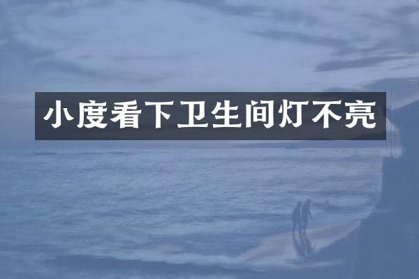 小度看下卫生间灯不亮