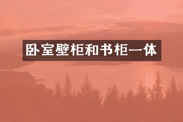 卧室壁柜和书柜一体