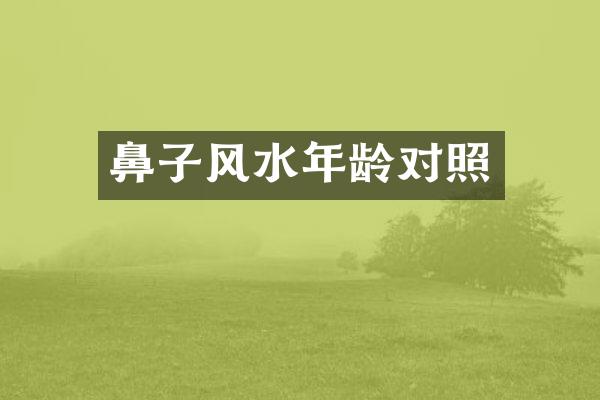 鼻子风水年龄对照