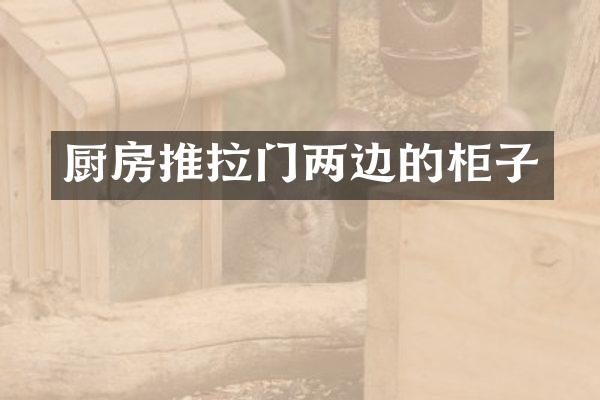 厨房推拉门两边的柜子