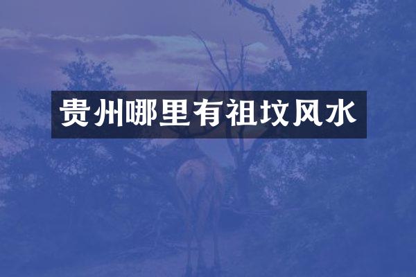 贵州哪里有祖坟风水