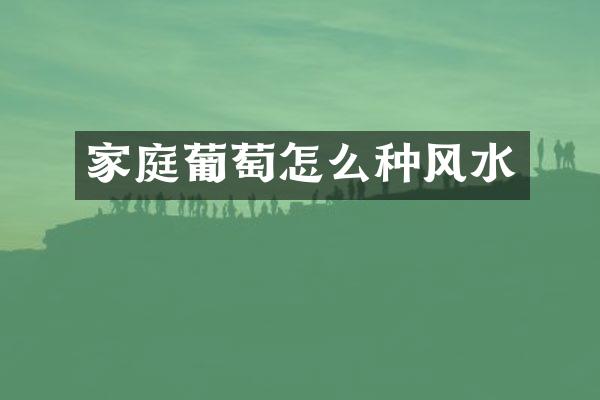 家庭葡萄怎么种风水