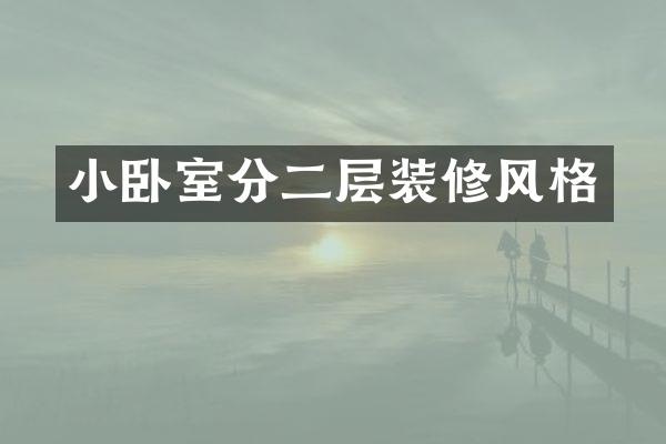 小卧室分二层装修风格