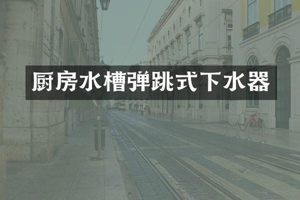 厨房水槽弹跳式下水器
