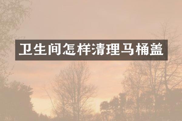 卫生间怎样清理马桶盖