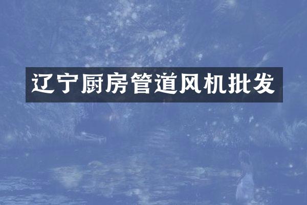 辽宁厨房管道风机批发