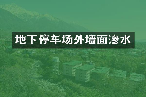 地下停车场外墙面渗水