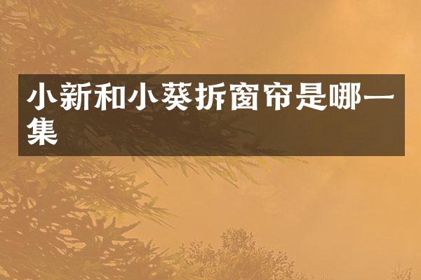 小新和小葵拆窗帘是哪一集
