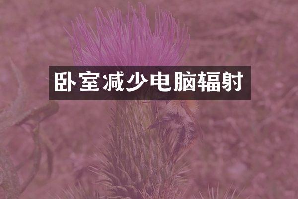 卧室减少电脑辐射