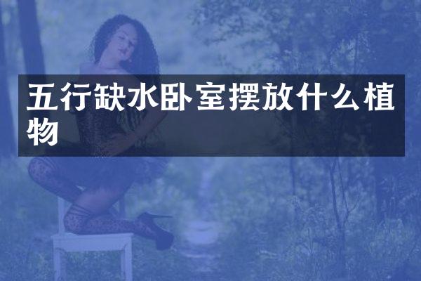 五行缺水卧室摆放什么植物