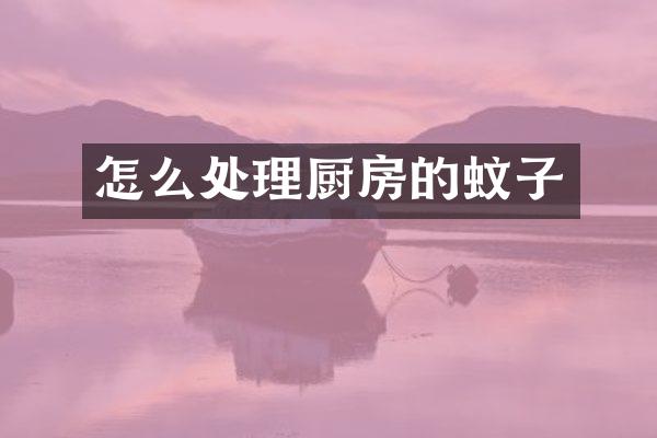 怎么处理厨房的蚊子