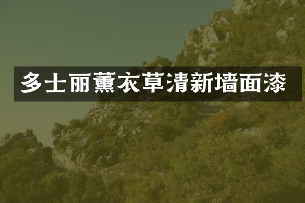 多士丽薰衣草清新墙面漆