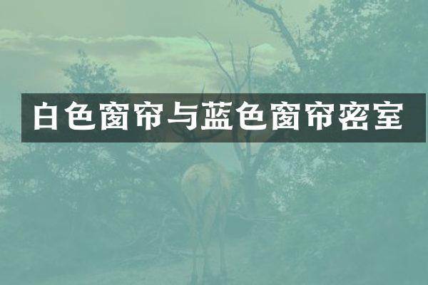 白色窗帘与蓝色窗帘密室