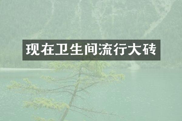 现在卫生间流行大砖