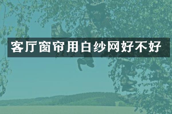 客厅窗帘用白纱网好不好