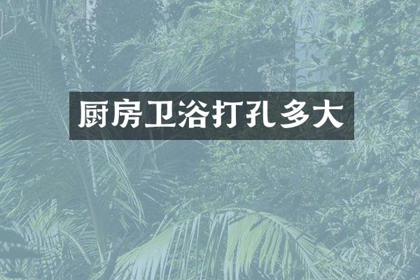 厨房卫浴打孔多大