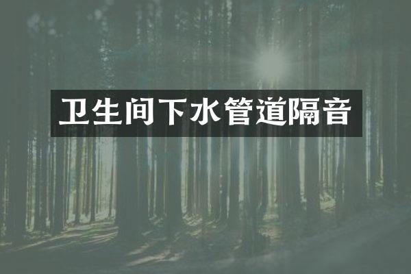 卫生间下水管道隔音