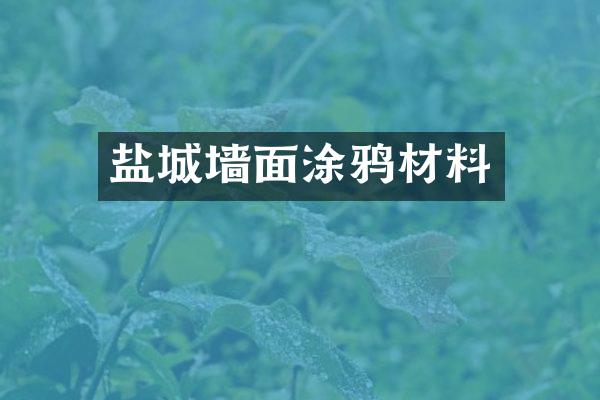 盐城墙面涂鸦材料